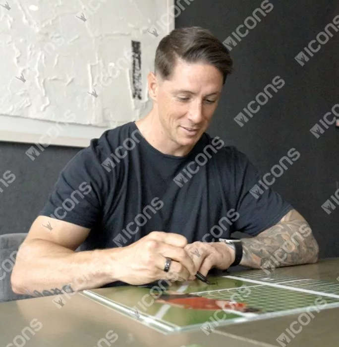 Icons Fernando Torres Signed Spain Photo In Premium Photo Frame: UEFA EURO 2008 Final Goal