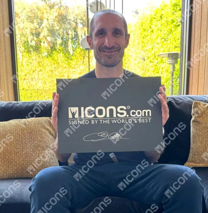 Icons Giorgio Chiellini Official 2014 FIFA World Cup™ Back Signed And Framed Italy 2014-15 Home Shirt With Fan Style Number