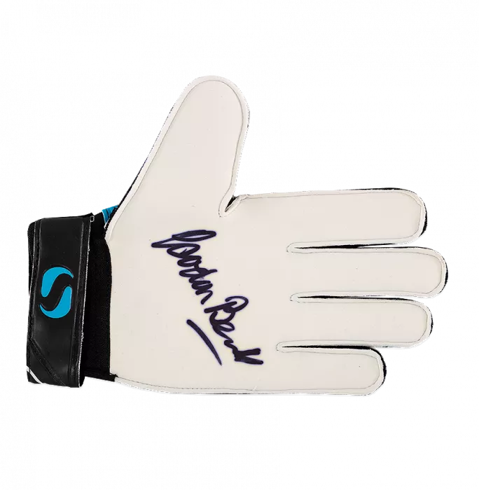 icons Gordon Banks Signed Blue and Black Sondico Goalkeeper Glove