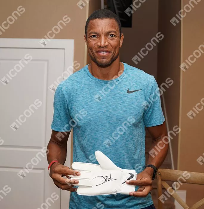 Icons Dida Signed Nike Goalkeeper Glove