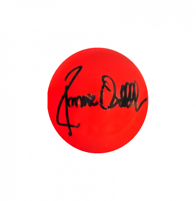Icons Ronnie O'Sullivan Signed Red Snooker Ball