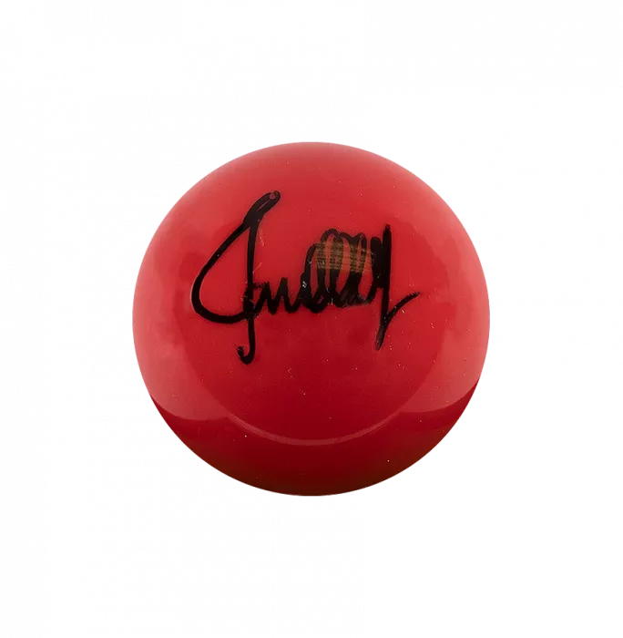 Icons Ronnie O'Sullivan Signed Red Snooker Ball