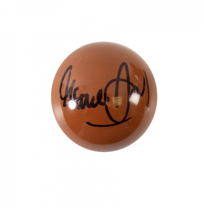 icons Steve Davis Signed Brown Snooker Ball