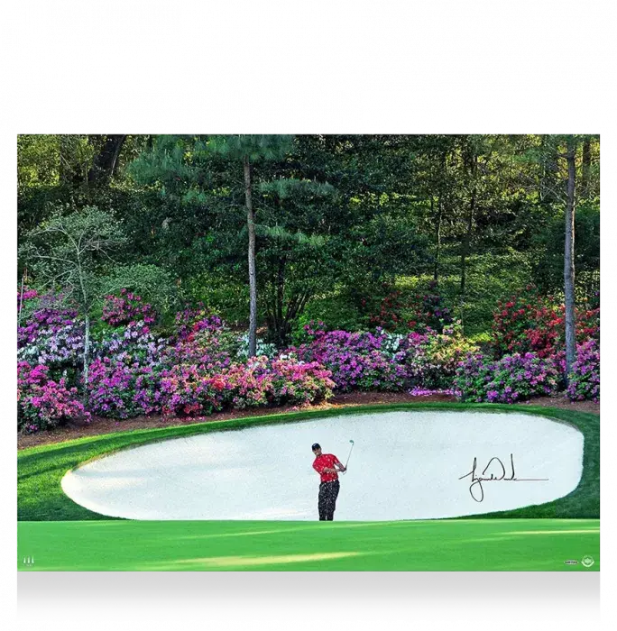 icons Tiger Woods Signed Photo: Amen Corner