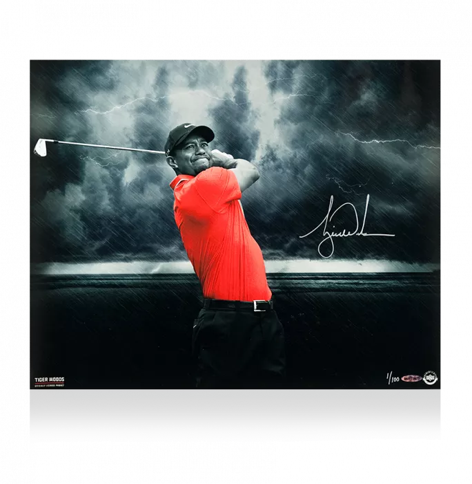 icons Tiger Woods Signed Photo: Quiet Storm
