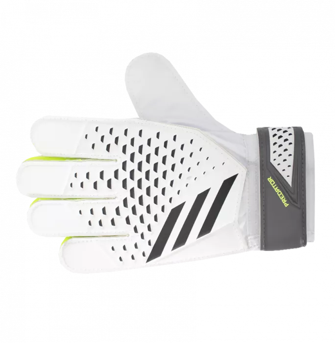 Icons Jens Lehmann Signed White Adidas Goalkeeper Glove