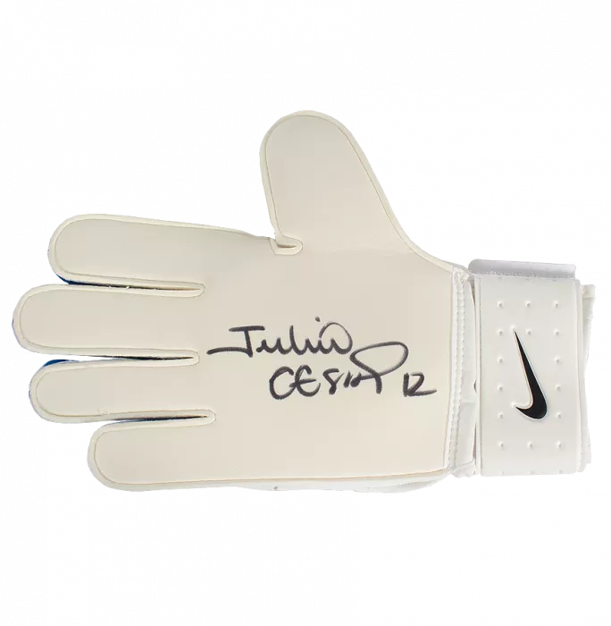 Icons Julio Cesar Signed Nike Vapor Goalkeeper Glove