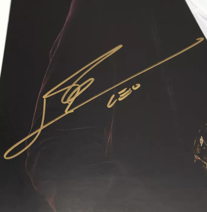 Icons Lionel Messi Official Ballon D'Or™ Signed And Framed Photo: 2011 Ballon D'Or Winner