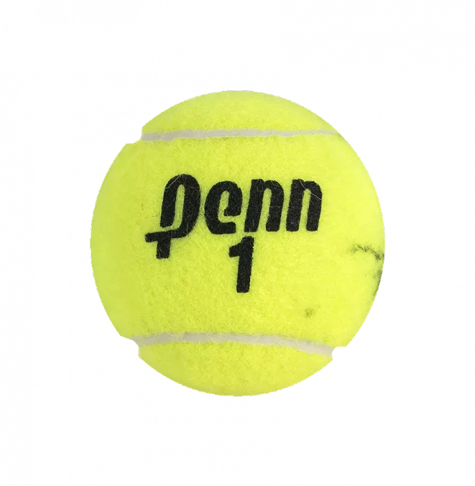 Icons Martina Hingis Signed Penn Tennis Ball In Acrylic Case