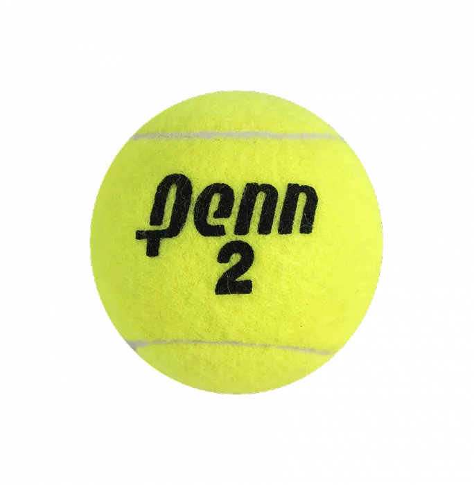 Icons Martina Hingis Signed Penn Tennis Ball In Acrylic Case