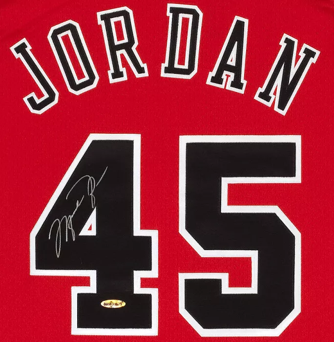 Icons Michael Jordan Back Signed Chicago Bulls 1995 Jersey: Mitchell & Ness Edition