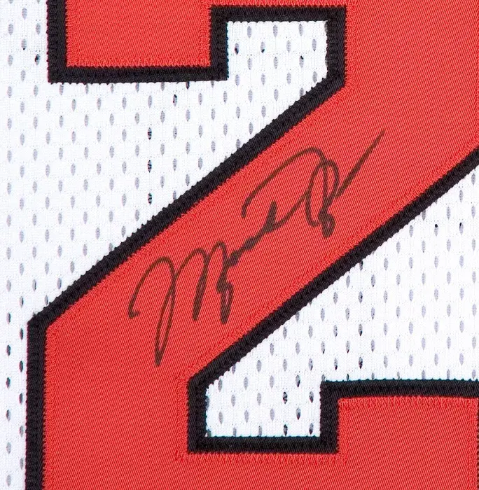Icons Michael Jordan Back Signed Chicago Bulls Home Jersey