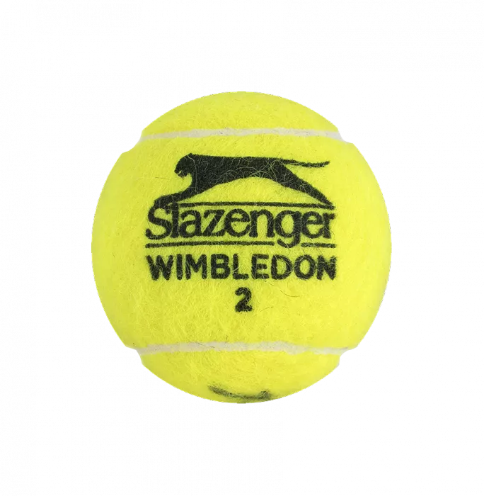 Icons Pete Sampras & Andre Agassi Signed Wimbledon Tennis Ball In Acrylic Case
