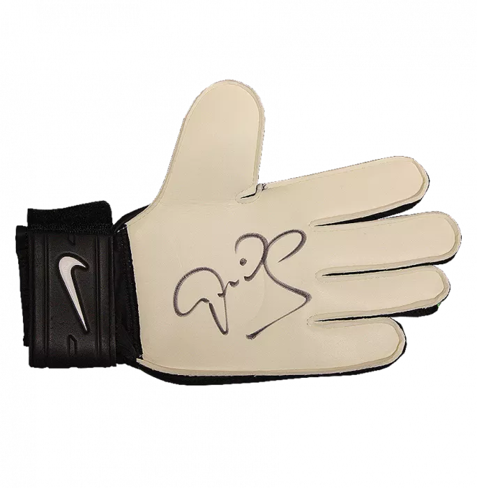 icons Peter Schmeichel Signed Black and Green Nike GK Glove