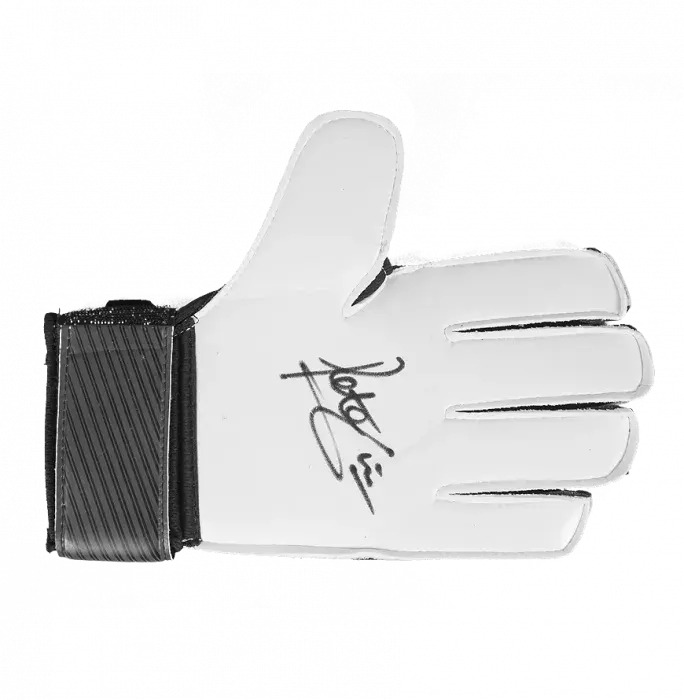icons Peter Shilton Signed Black Umbro Goalkeeper Glove
