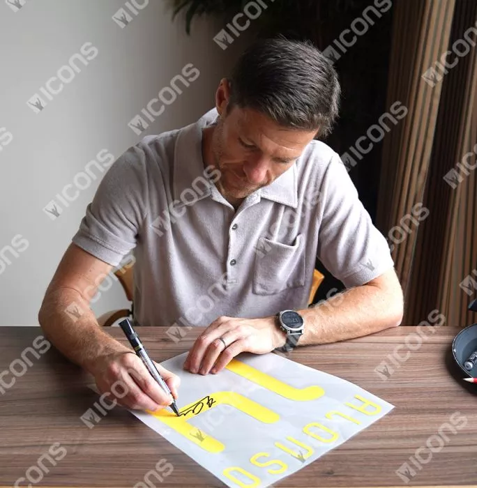 Icons Xabi Alonso Back Signed Spain 2010 Home Shirt In Hero Frame: Option 1