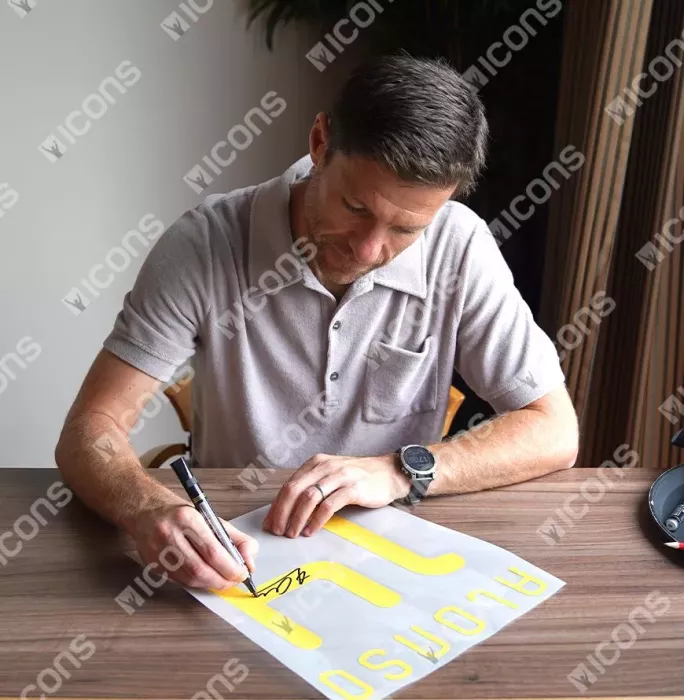 Icons Xabi Alonso Official 2010 FIFA World Cup™ Back Signed And Framed Spain 2010 Home Shirt