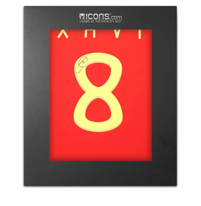 icons Xavi Back Signed Spain 2010 Home Shirt In Deluxe Packaging