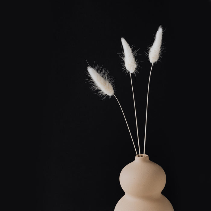 Ideo Parfumeurs Last Canto - Eau De Parfum