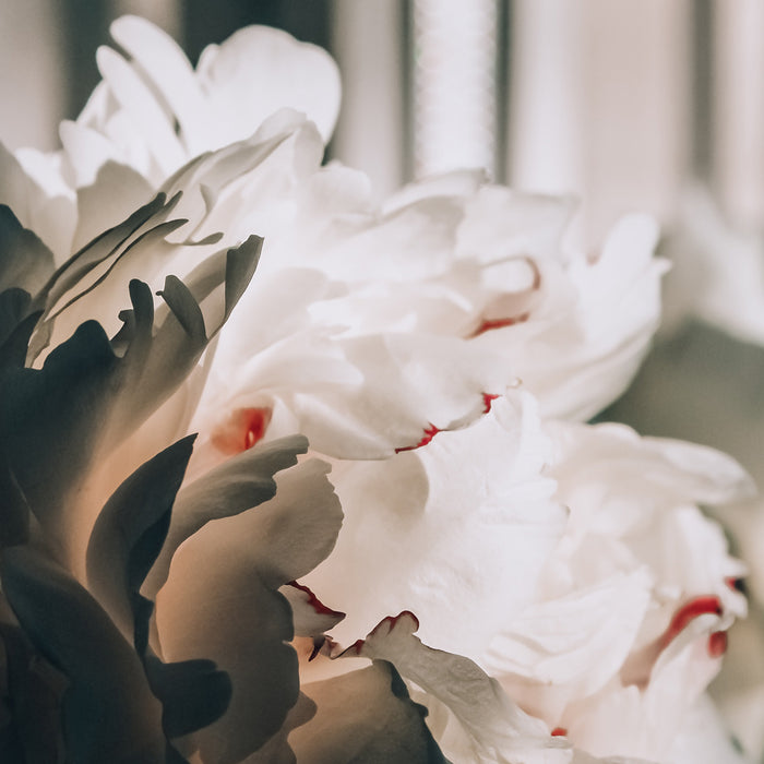 Ideo Parfumeurs Lingerie | Linen - Gibson Girls