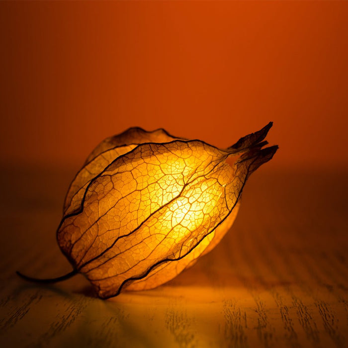 Ideo Parfumeurs Malika's Temptation - Eau De Parfum