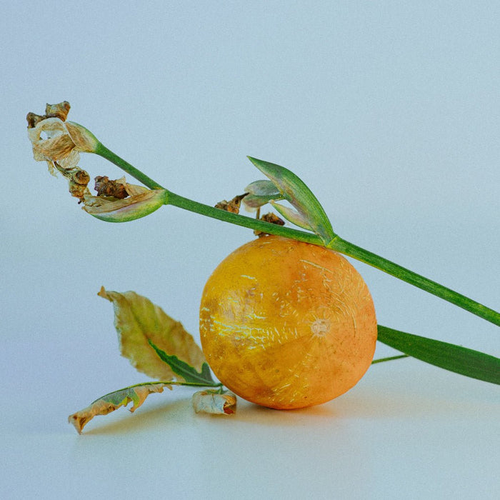 Ideo Parfumeurs Souvenirs D'une Princesse - Candle