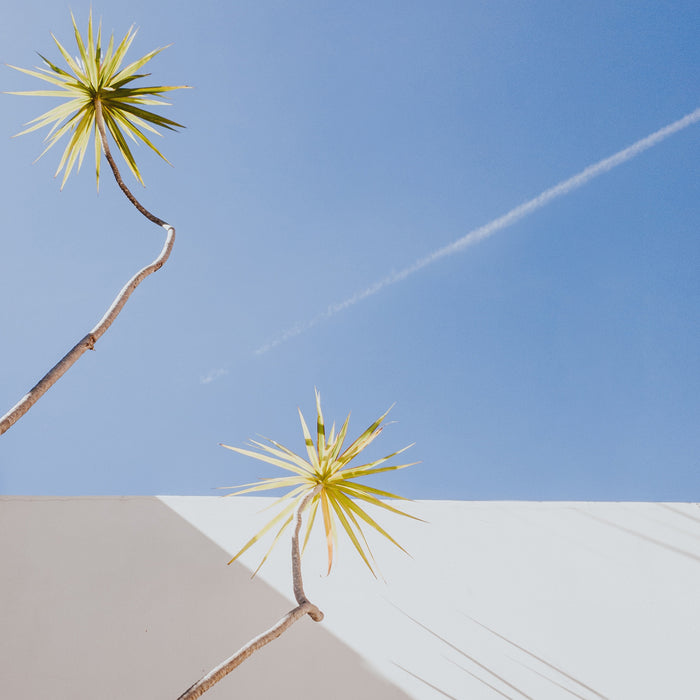 Ideo Parfumeurs Space Rhapsody - Eau De Parfum