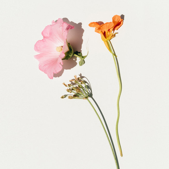 Ideo Parfumeurs Weekend à Fontainebleau - Eau De Parfum