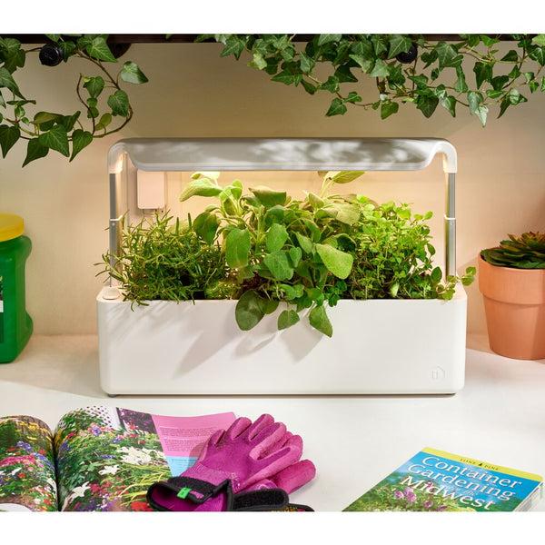 Idesign Countertop Garden Center - 3 Pots Coconut Milk