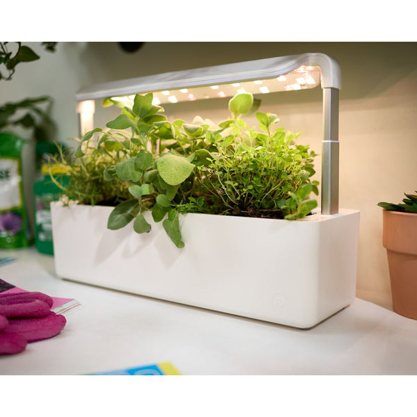 Idesign Countertop Garden Center - 3 Pots Coconut Milk