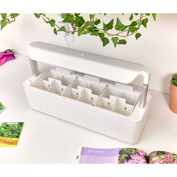 Idesign Countertop Garden Center - 3 Pots Coconut Milk