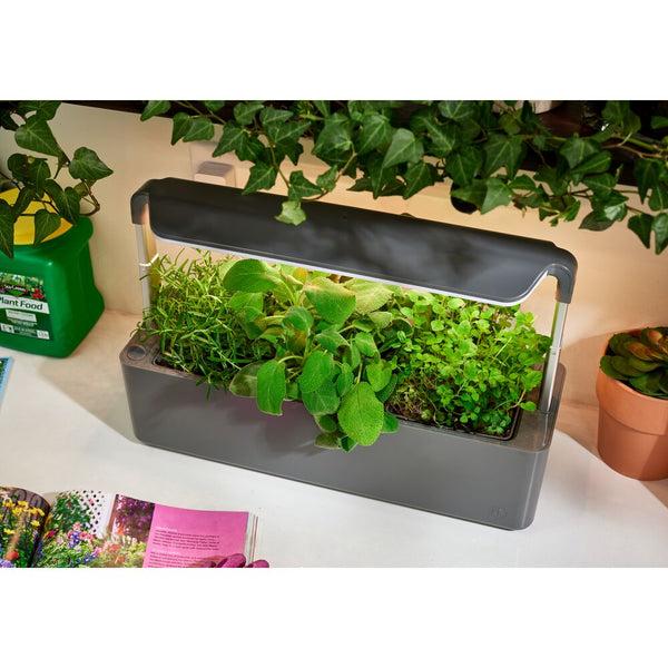 idesign Countertop Garden Center - 3 Pots Coconut Milk