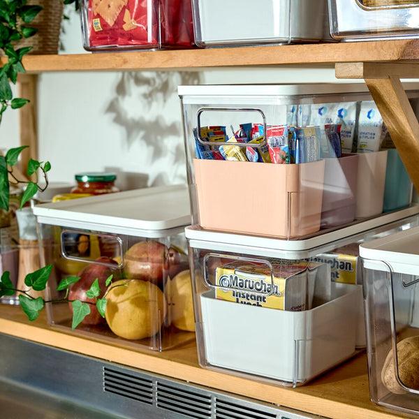 Idesign IDesign Large Lidded Bin & 4 Inner Bins Multicolor/Marshmallow