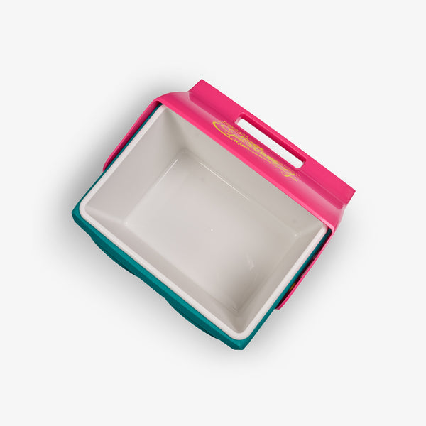 Igloo KoolTunes® Pink Fizz