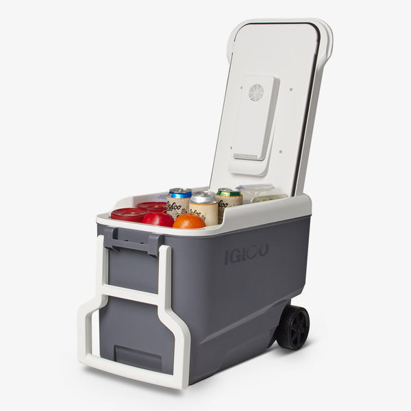 Igloo Versatemp™ 35 Qt Wheeled Electric Cooler Default Title