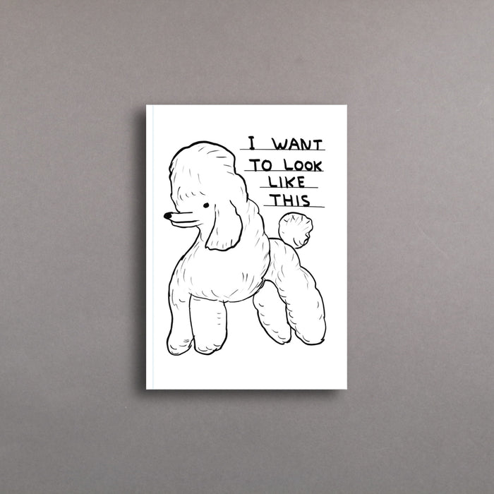 ikon David Shrigley I Want To Look Like This - Notebook A6