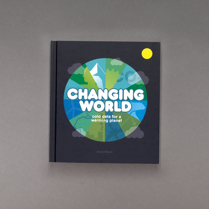 ikon David Gibson Changing World