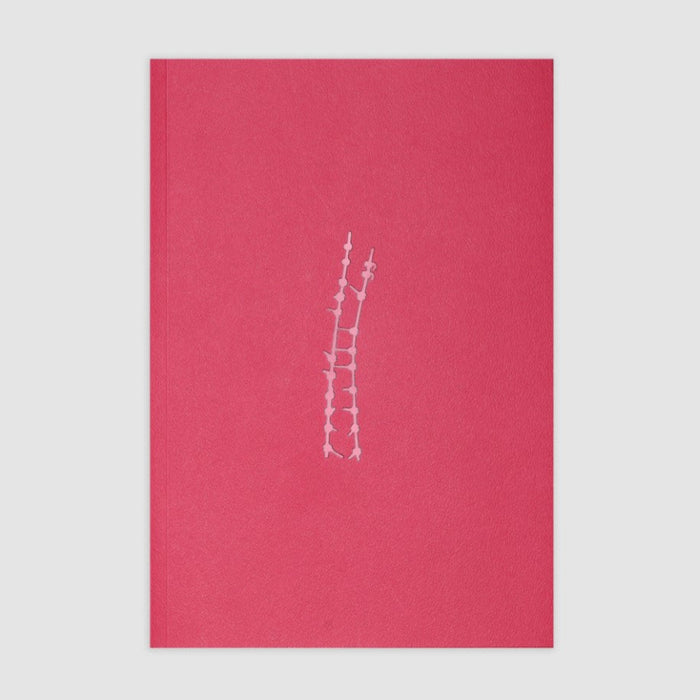 ikon Grain Projects The Backbone: Ayesha Jones