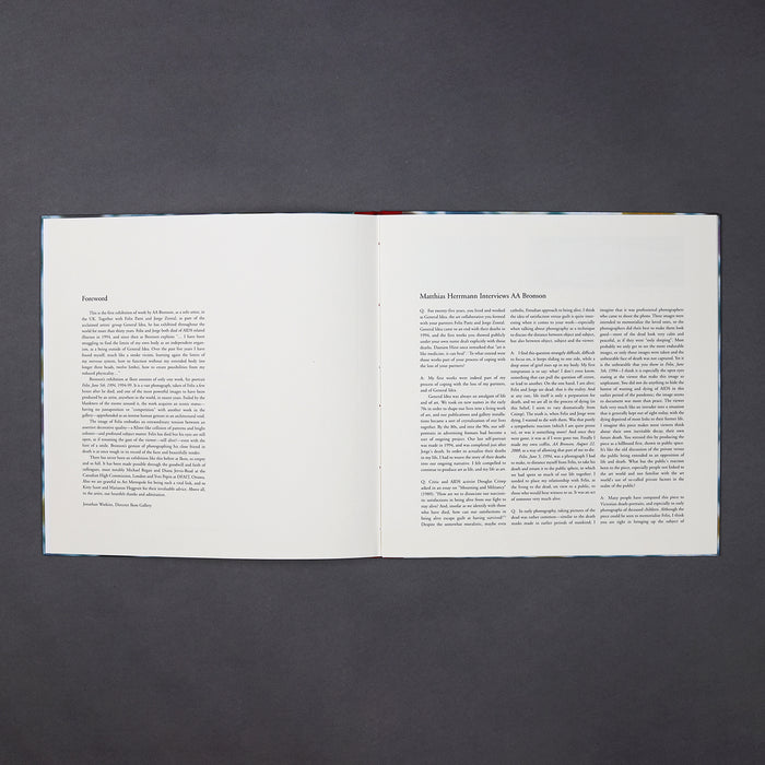 Ikon Ikon AA Bronson: Felix June 5th 1994