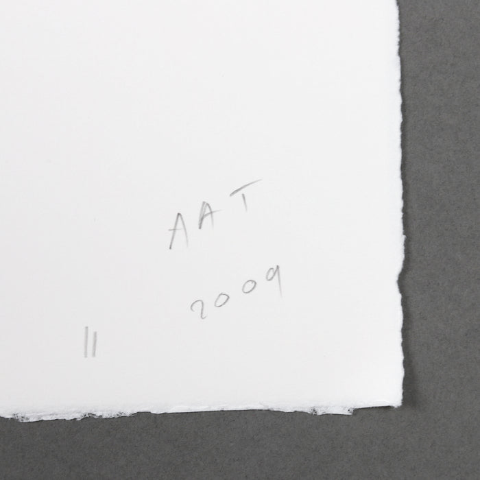 Ikon Ikon Armando Andrade Tudela