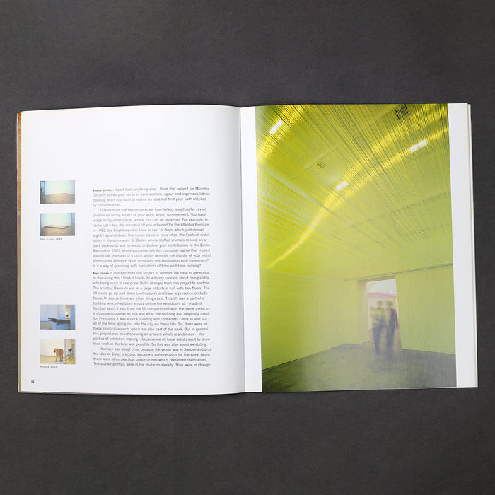 Ikon Ikon Ayşe Erkmen: Under The Roof