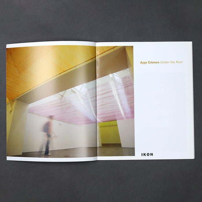 Ikon Ikon Ayşe Erkmen: Under The Roof
