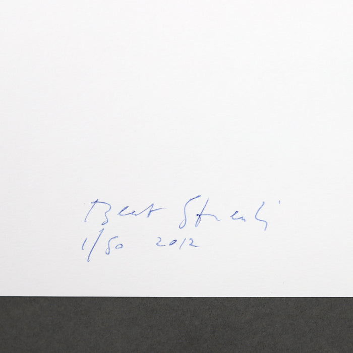 Ikon Ikon Beat Streuli