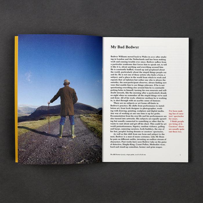 Ikon Ikon Bedwyr Williams: My Bad