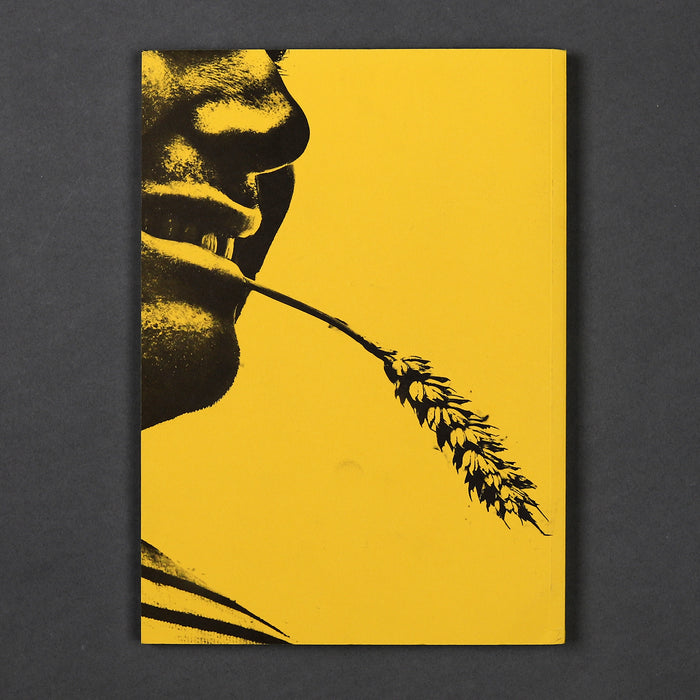 Ikon Ikon Bedwyr Williams: My Bad