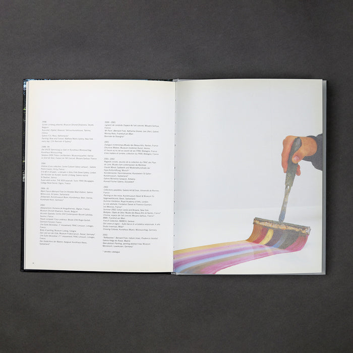 Ikon Ikon Bernard Frize: Hands On