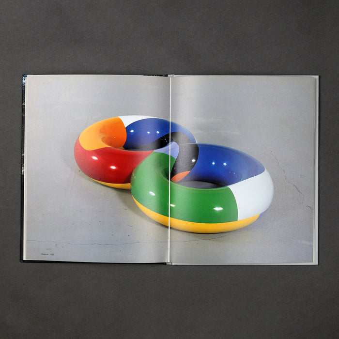 Ikon Ikon Bernard Frize: Hands On