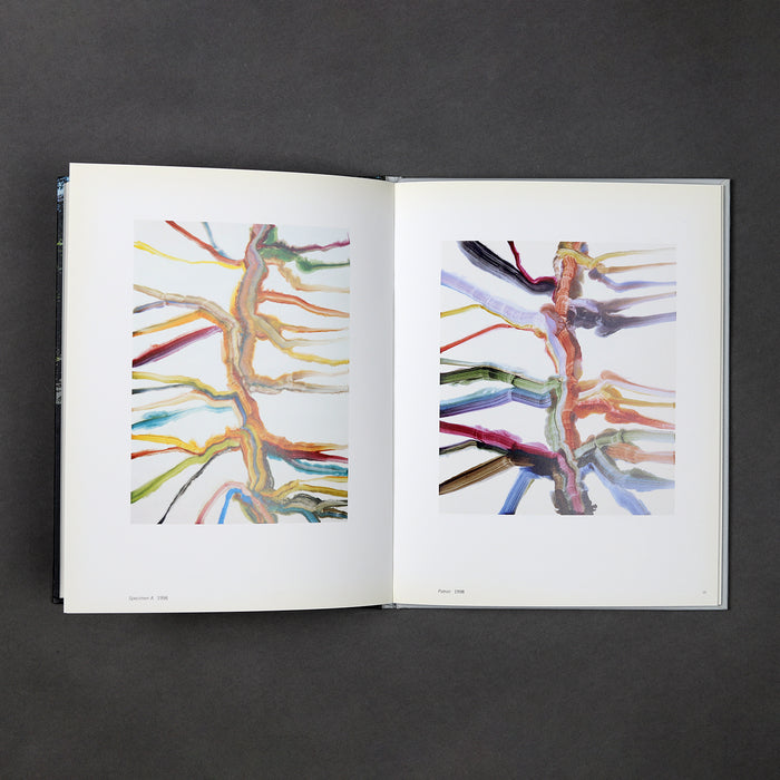 Ikon Ikon Bernard Frize: Hands On