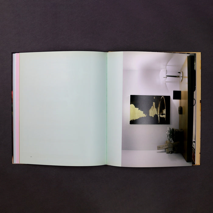 Ikon Ikon Caro Niederer: Living With Art