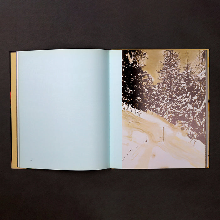 Ikon Ikon Caro Niederer: Living With Art